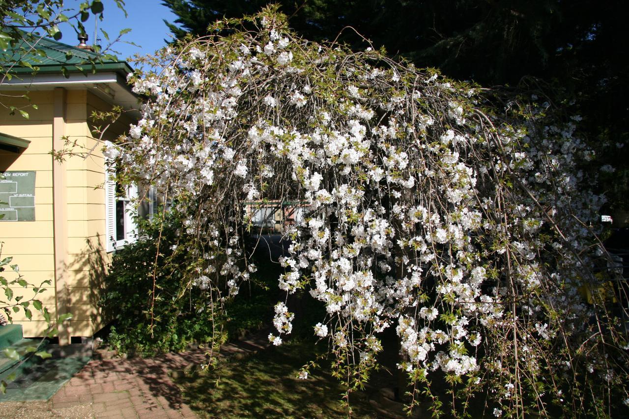 Villa Carawatha Gardens Bright Exterior foto